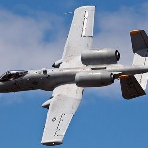 Meet your Posher, Cooper